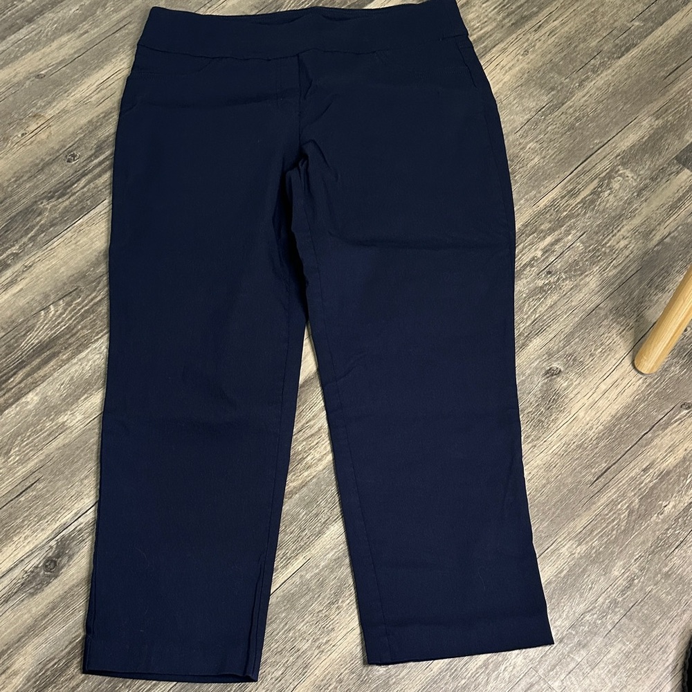 Ruby‎ Rd. Slate Blue Pull-On Knit Pants size 14